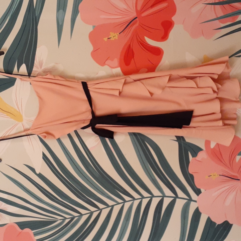 Ladies dress